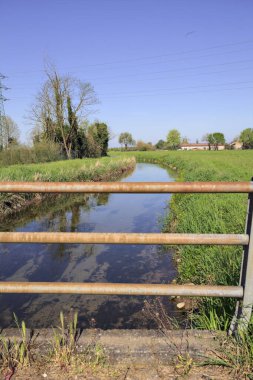 Arazi ile asfalt patika arasındaki su akıntısı İtalya kırsalında ağaçlarla doludur.