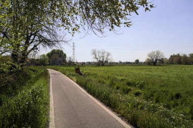 Güneşli bir İtalyan kırsalında güneşli bir günde, üzerinde bir ağaç kavisli patika ve üzerine bir gölge konur.