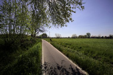 Güneşli bir İtalyan kırsalında güneşli bir günde, üzerinde bir ağaç kavisli patika ve üzerine bir gölge konur.