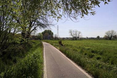 Güneşli bir İtalyan kırsalında güneşli bir günde, üzerinde bir ağaç kavisli patika ve üzerine bir gölge konur.