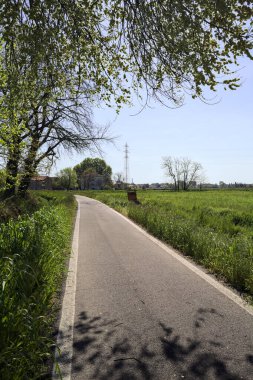 Güneşli bir İtalyan kırsalında güneşli bir günde, üzerinde bir ağaç kavisli patika ve üzerine bir gölge konur.