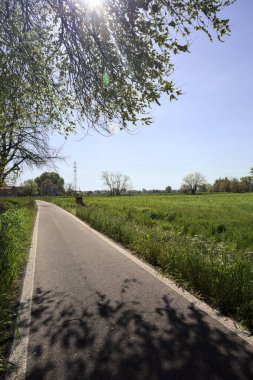 Güneşli bir İtalyan kırsalında güneşli bir günde, üzerinde bir ağaç kavisli patika ve üzerine bir gölge konur.