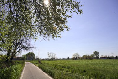 Güneşli bir İtalyan kırsalında güneşli bir günde, üzerinde bir ağaç kavisli patika ve üzerine bir gölge konur.