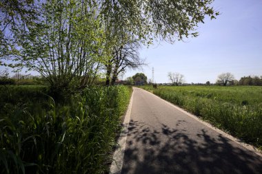 Güneşli bir İtalyan kırsalında güneşli bir günde, üzerinde bir ağaç kavisli patika ve üzerine bir gölge konur.