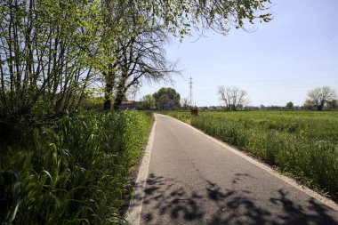 Güneşli bir İtalyan kırsalında güneşli bir günde, üzerinde bir ağaç kavisli patika ve üzerine bir gölge konur.
