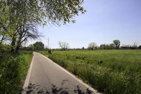 Güneşli bir İtalyan kırsalında güneşli bir günde, üzerinde bir ağaç kavisli patika ve üzerine bir gölge konur.