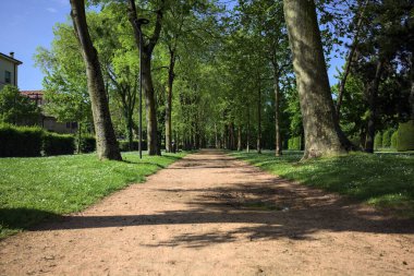 Ağaçların gölgeleriyle dolu patika bir İtalyan kasabasının parkında yere dökülüyor.