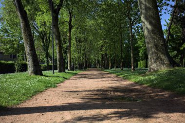 Ağaçların gölgeleriyle dolu patika bir İtalyan kasabasının parkında yere dökülüyor.