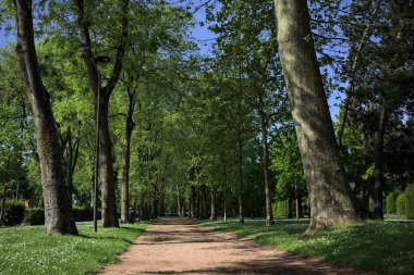 Ağaçların gölgeleriyle dolu patika bir İtalyan kasabasının parkında yere dökülüyor.