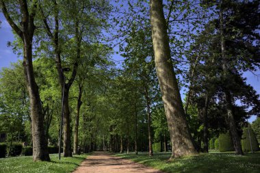Ağaçların gölgeleriyle dolu patika bir İtalyan kasabasının parkında yere dökülüyor.