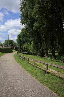 Ağaçlarla çevrili bir çimenliğin kenarındaki yol ve güneşli bir günde bir parktaki set arasında.