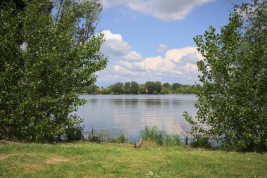 Güneşli bir günde, parkta göl. Gökyüzü ve iki bitkinin çerçevelediği suya yansıyan bulutlar.