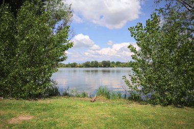 Güneşli bir günde, parkta göl. Gökyüzü ve iki bitkinin çerçevelediği suya yansıyan bulutlar.