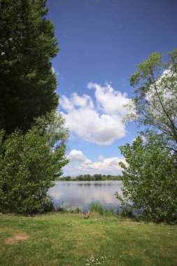Güneşli bir günde, parkta göl. Gökyüzü ve iki bitkinin çerçevelediği suya yansıyan bulutlar.