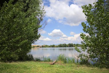Güneşli bir günde, parkta göl. Gökyüzü ve iki bitkinin çerçevelediği suya yansıyan bulutlar.