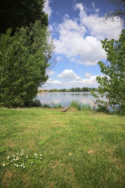 Güneşli bir günde, parkta göl. Gökyüzü ve iki bitkinin çerçevelediği suya yansıyan bulutlar.