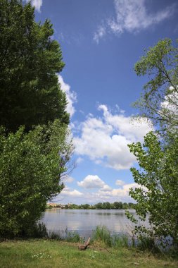 Güneşli bir günde, parkta göl. Gökyüzü ve iki bitkinin çerçevelediği suya yansıyan bulutlar.