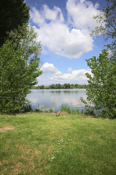 Güneşli bir günde, parkta göl. Gökyüzü ve iki bitkinin çerçevelediği suya yansıyan bulutlar.