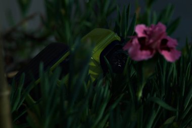 Mantova, İtalya - 27 Nisan 2025 - 1 / 64 Majorette kopyası çiçek açan karanfil vazosundaki Suzuki Jimny