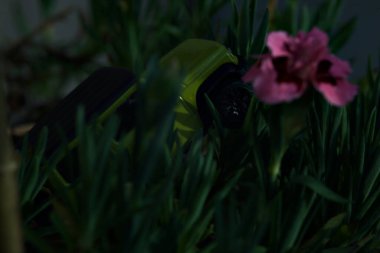 Mantova, İtalya - 27 Nisan 2025 - 1 / 64 Majorette kopyası çiçek açan karanfil vazosundaki Suzuki Jimny