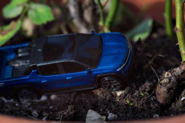 Mantova, İtalya - 27. Nisan 2025 - 1 / 64 Bir Dodge Ram vazosunun bir kopyası Bir gül fabrikasının tabanında bir tırmanış simülasyonu