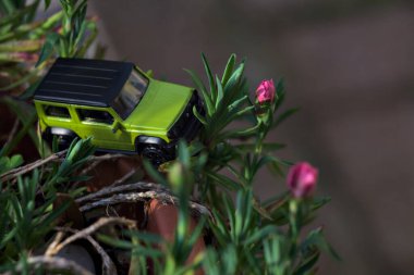 Mantova, İtalya - 27 Nisan 2025 - 1 / 64 Majorette kopyası çiçek açan karanfil vazosundaki Suzuki Jimny