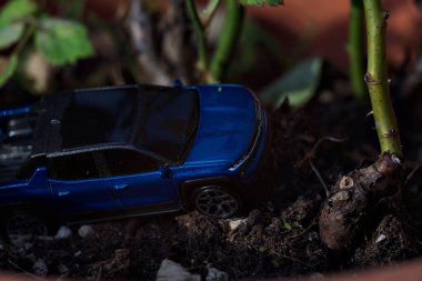 Mantova, İtalya - 27. Nisan 2025 - 1 / 64 Bir Dodge Ram vazosunun bir kopyası Bir gül fabrikasının tabanında bir tırmanış simülasyonu