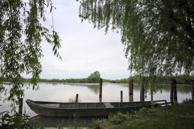 Nehir kıyısında bir söğüt ağacının yanında demirli bir tekne ve suya düşen bulutlu bir gökyüzü.