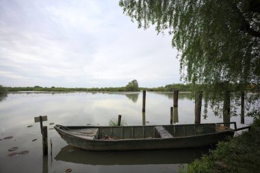 Nehir kıyısında bir söğüt ağacının yanında demirli bir tekne ve suya düşen bulutlu bir gökyüzü.