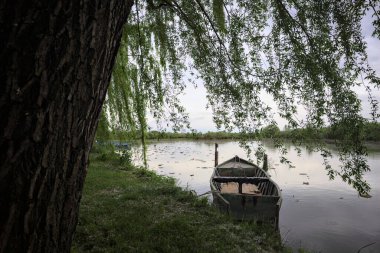 Nehir kıyısında bir söğüt ağacının yanında demirli bir tekne ve suya düşen bulutlu bir gökyüzü.