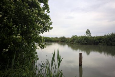 Nehir kıyısında, yanında ahşap bir demirleme direği olan yaşlı bir ağaç tarafından çerçevelenmiş bulutlu bir gökyüzü.