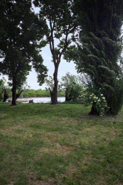 İtalya kırsalında bulutlu bir günde nehir kıyısındaki bir parkın ağaçlarının altında çimenler.