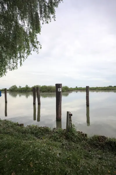 Nehrin kıyısındaki tahta demirleme direkleri bataklıkta, gökyüzü bulutlu bir günde İtalya kırsalında suya yansıyor.
