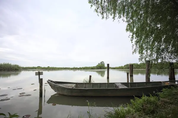 Nehir kıyısında bir söğüt ağacının yanında demirli bir tekne ve suya düşen bulutlu bir gökyüzü.