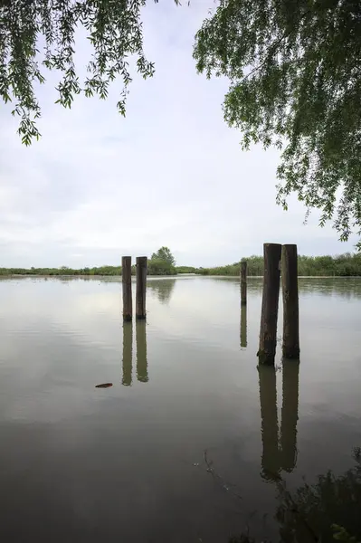 Nehrin kıyısındaki tahta demirleme direkleri bataklıkta, gökyüzü bulutlu bir günde İtalya kırsalında suya yansıyor.