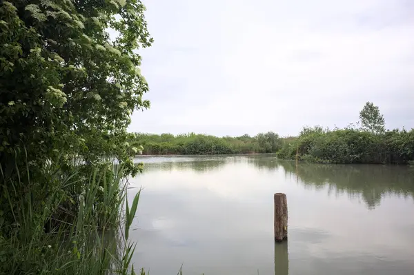 Nehir kıyısında, yanında ahşap bir demirleme direği olan yaşlı bir ağaç tarafından çerçevelenmiş bulutlu bir gökyüzü.
