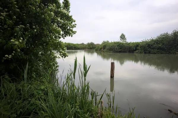 Nehir kıyısında, yanında ahşap bir demirleme direği olan yaşlı bir ağaç tarafından çerçevelenmiş bulutlu bir gökyüzü.