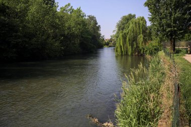 İtalya kırsalında güneşli bir günde, kıyılarında salkım söğüdü olan bir parkın içinden geçen nehir.