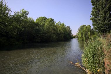 İtalya kırsalında güneşli bir günde, kıyılarında salkım söğüdü olan bir parkın içinden geçen nehir.