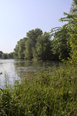 İtalya kırsalındaki bir parktan geçen nehir kıyıdaki ağaçlar ve bitkiler tarafından çerçevelenmiş bir şelale ile.