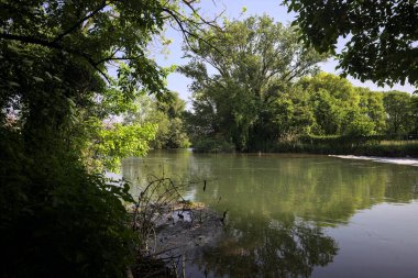 Ağaçların çerçevelediği parktan geçen bir nehrin kıvrımları da suya atılmış.