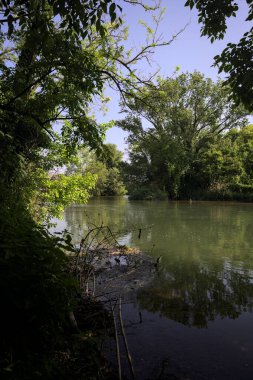 Ağaçların çerçevelediği parktan geçen bir nehrin kıvrımları da suya atılmış.