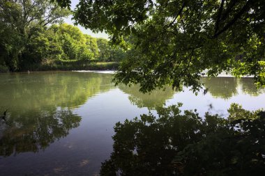 İtalya kırsalındaki bir parktaki bir nehrin çağlayanı ağaç dalları ve sudaki yansımalarıyla çerçevelenmiş.