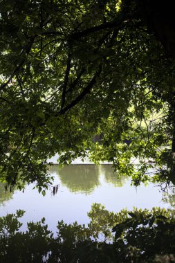 İtalya kırsalındaki bir parktaki bir nehrin çağlayanı ağaç dalları ve sudaki yansımalarıyla çerçevelenmiş.