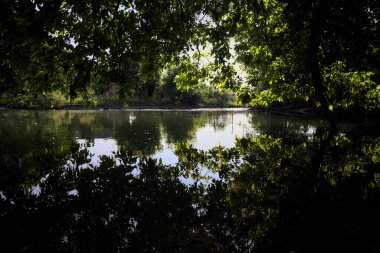 İtalya kırsalındaki bir parktaki bir nehrin çağlayanı ağaç dalları ve sudaki yansımalarıyla çerçevelenmiş.