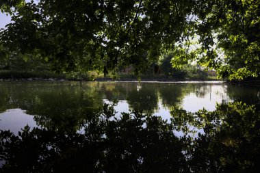 İtalya kırsalındaki bir parktaki bir nehrin çağlayanı ağaç dalları ve sudaki yansımalarıyla çerçevelenmiş.