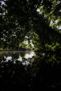 İtalya kırsalındaki bir parktaki bir nehrin çağlayanı ağaç dalları ve sudaki yansımalarıyla çerçevelenmiş.