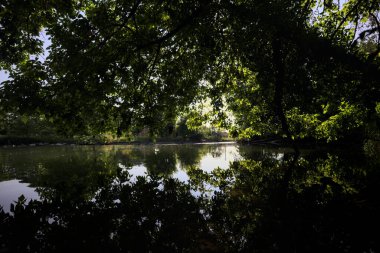 İtalya kırsalındaki bir parktaki bir nehrin çağlayanı ağaç dalları ve sudaki yansımalarıyla çerçevelenmiş.