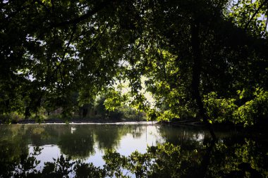 İtalya kırsalındaki bir parktaki bir nehrin çağlayanı ağaç dalları ve sudaki yansımalarıyla çerçevelenmiş.