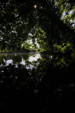 İtalya kırsalındaki bir parktaki bir nehrin çağlayanı ağaç dalları ve sudaki yansımalarıyla çerçevelenmiş.